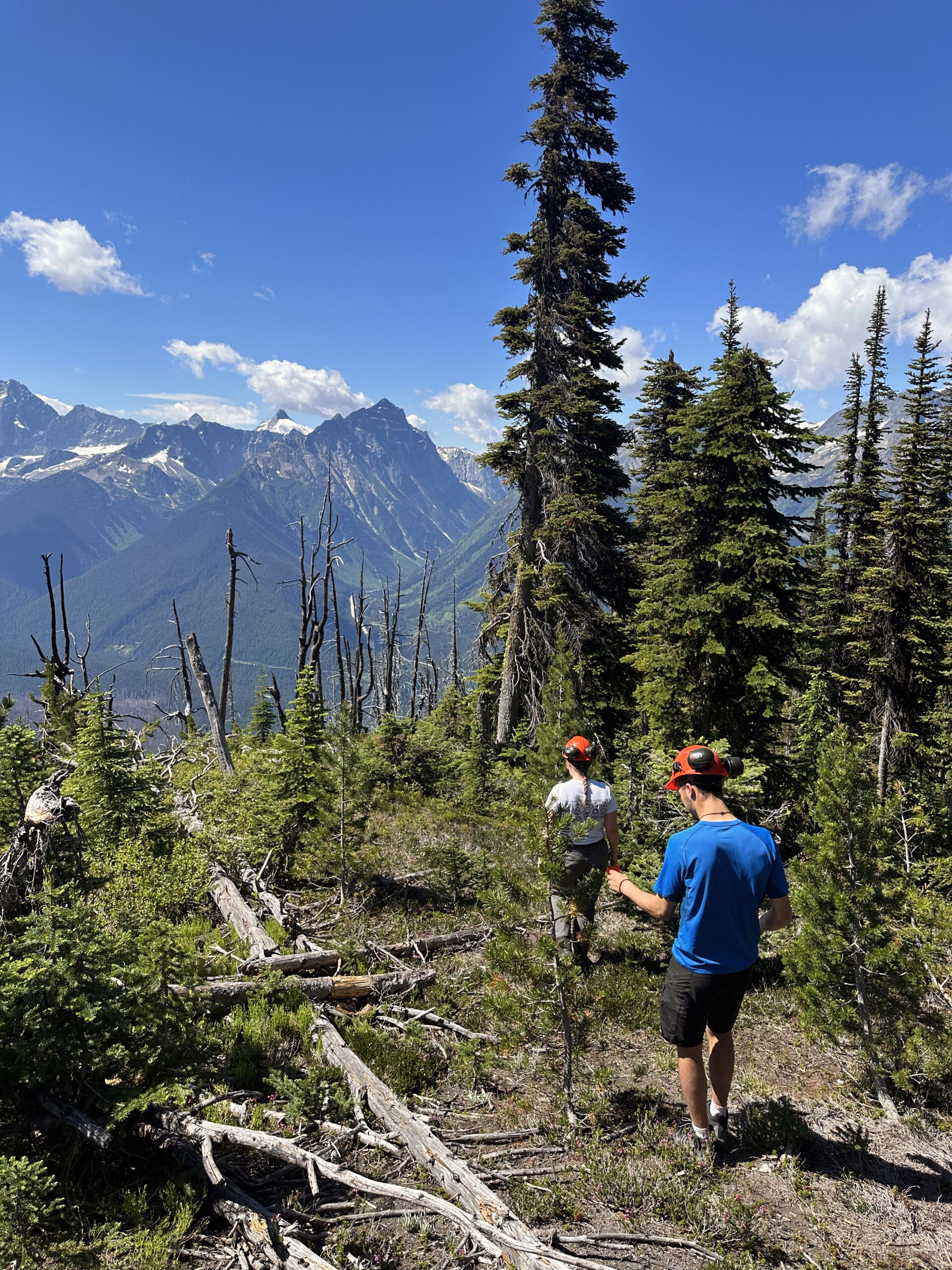 University and wildfire service work together