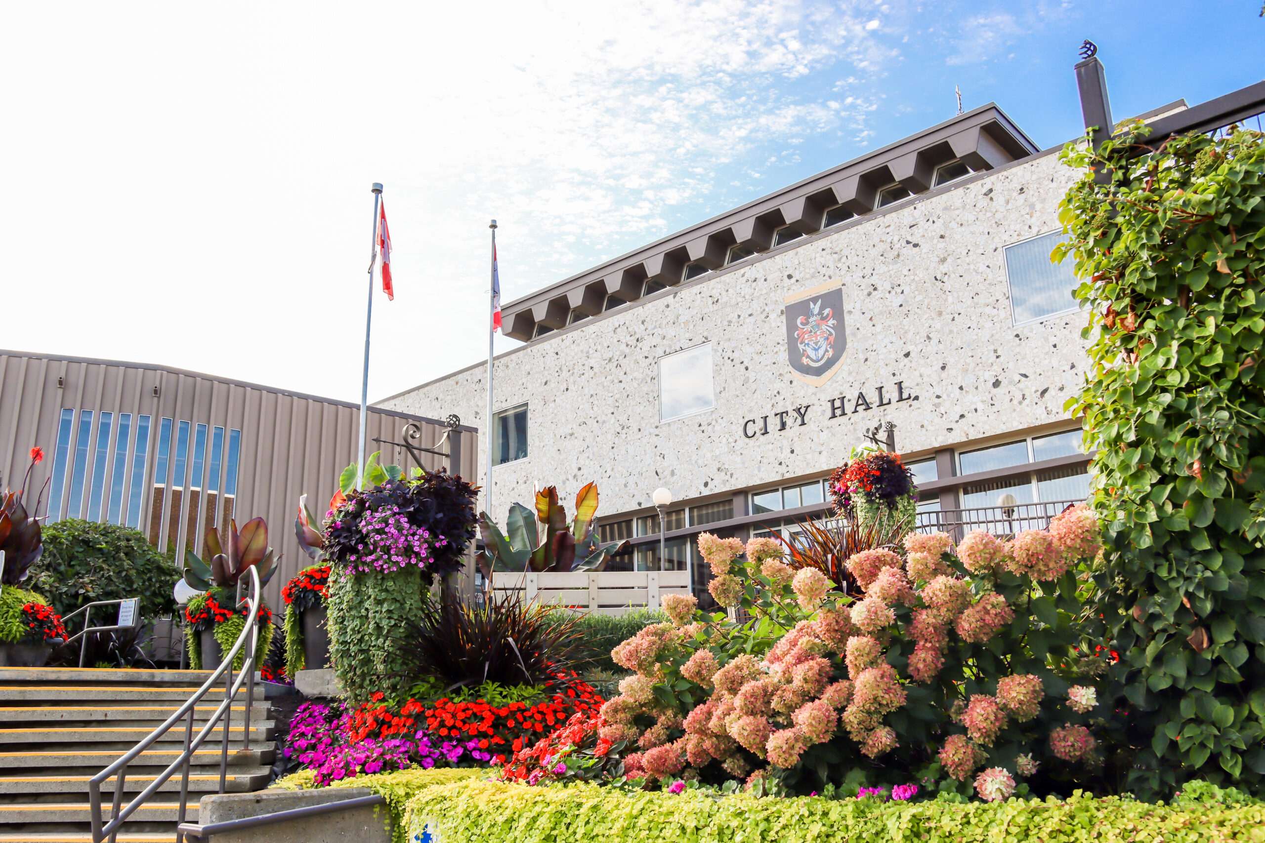 ‘Inquisitive’ mayor’s forensic audit motion defeated