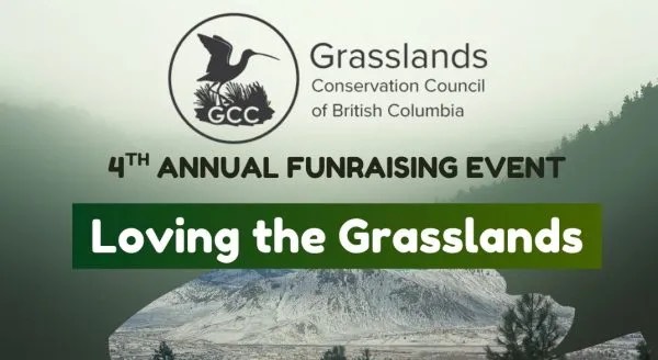 Loving the Grasslands returns with expanded program